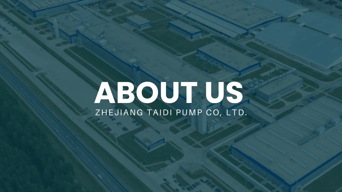 Choosing Taidi Corp as a partner for innovation of Submersible Pump needs is a Perfect Choice